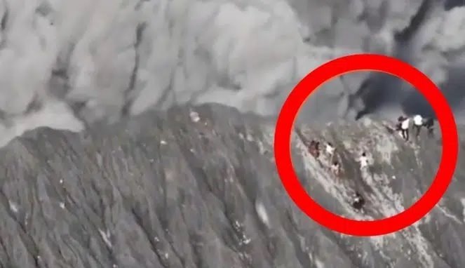 Detik-Detik Mencekam Pendaki Terjebak Letusan Gunung Dukono