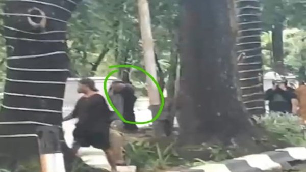 Ketegangan di Rumah Kekuasaan, Demo DOB Luwu Tengah Berakhir Ricuh